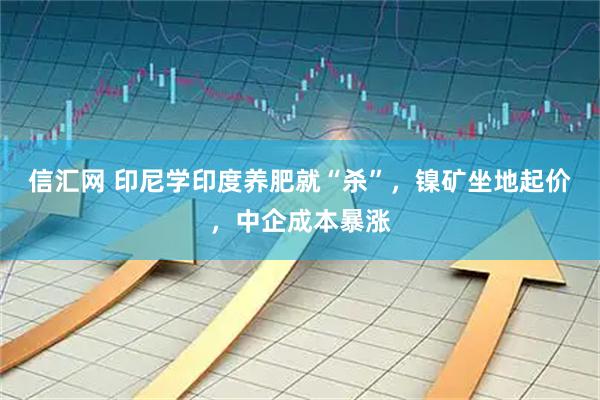 信汇网 印尼学印度养肥就“杀”，镍矿坐地起价，中企成本暴涨